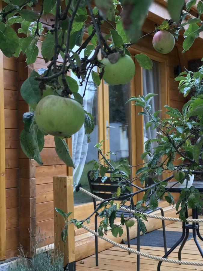 Apple House Villa Cetinje Exterior foto