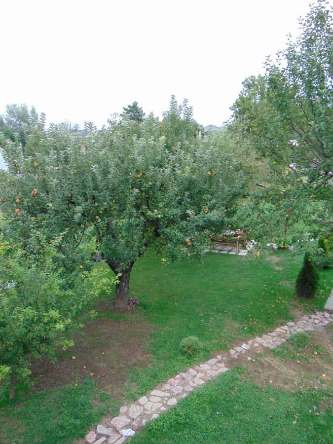 Apple House Villa Cetinje Exterior foto